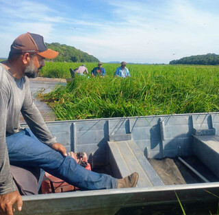 Isolados com fechamento de canal, moradores abrem "estrada" no Rio Paraguai