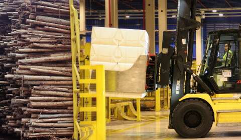 Com R$ 131 bi em investimentos at&eacute; 2030, celulose deve puxar PIB de 1,2% de MS 