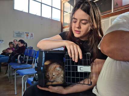 Amanda chegou &agrave;s 4h15 para garantir castra&ccedil;&atilde;o gratuita do gato Berry