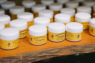 Fugindo da 2ª Guerra, polonês deixou legado à família pioneira no mel em MS Fugindo da 2ª Guerra, polonês deixou legado à família pioneira no mel em MS