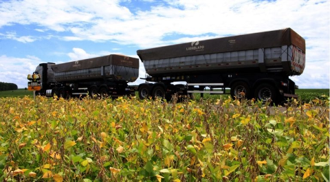 In&iacute;cio do escoamento da soja influencia pre&ccedil;os de fretes agr&iacute;colas em MS
