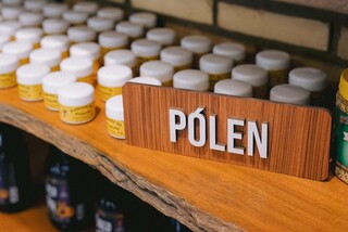 Fugindo da 2ª Guerra, polonês deixou legado à família pioneira no mel em MS Fugindo da 2ª Guerra, polonês deixou legado à família pioneira no mel em MS