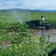 Isolados com fechamento de canal, moradores abrem "estrada" no Rio Paraguai