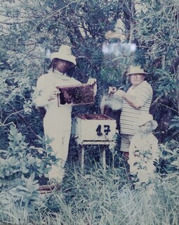 Fugindo da 2ª Guerra, polonês deixou legado à família pioneira no mel em MS Fugindo da 2ª Guerra, polonês deixou legado à família pioneira no mel em MS