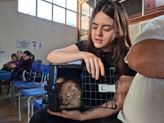 Amanda chegou &agrave;s 4h15 para garantir castra&ccedil;&atilde;o gratuita do gato Berry