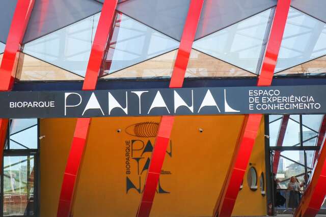 De tubar&atilde;o a on&ccedil;a, 50 projetos s&atilde;o selecionados para apresenta&ccedil;&atilde;o na COP15