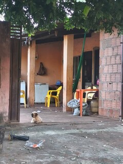 Menina de 3 anos &eacute; encontrada chorando e com carrapicho no p&eacute; sozinha na rua