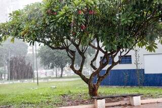MS entra em alerta para chuvas intensas e risco de grande acumulado até domingo MS entra em alerta para chuvas intensas e risco de grande acumulado até domingo