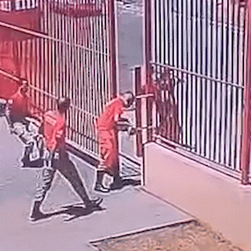 Bombeiros salvam beb&ecirc; de 3 meses engasgada com leite 