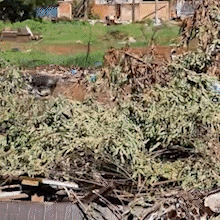 "BBB do lix&atilde;o": prefeitura instala c&acirc;meras para flagrar descarte no Aero Rancho