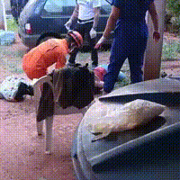 Militar do Corpo de Bombeiros &eacute; preso ao agredir esposa com marreta