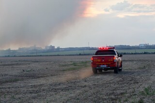 Incêndio atinge 50 hectares de área rural e fumaça é vista a quilômetros Incêndio atinge 50 hectares de área rural e fumaça é vista a quilômetros