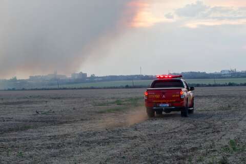 Inc&ecirc;ndio atinge 50 hectares de &aacute;rea rural e fuma&ccedil;a &eacute; vista a quil&ocirc;metros