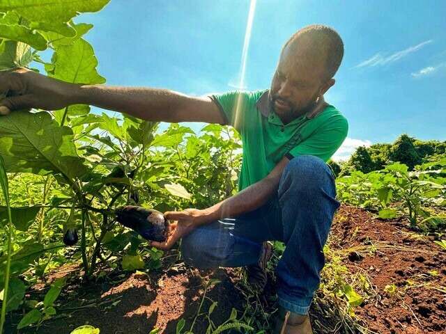 Caf&eacute; da manh&atilde; na UFMS celebra mulheres que sustentam a produ&ccedil;&atilde;o de alimentos