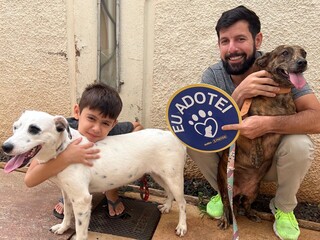 Praça da Bolívia terá feira de adoção exclusiva de cães adultos Praça da Bolívia terá feira de adoção exclusiva de cães adultos