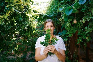 Conhe&ccedil;a plantas para cultivar em casa e fugir dos sach&ecirc;s de mercado