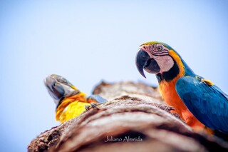 H&aacute; 27 anos, trajet&oacute;ria de MS &eacute; eternizada pelas lentes do Campo Grande News