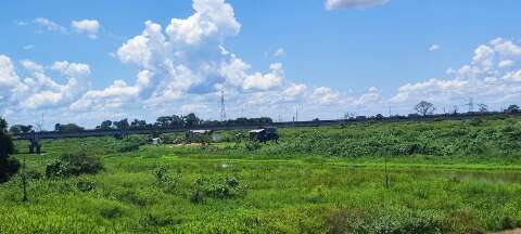 Plantas aqu&aacute;ticas fecham canal no Pantanal e afetam ribeirinhos