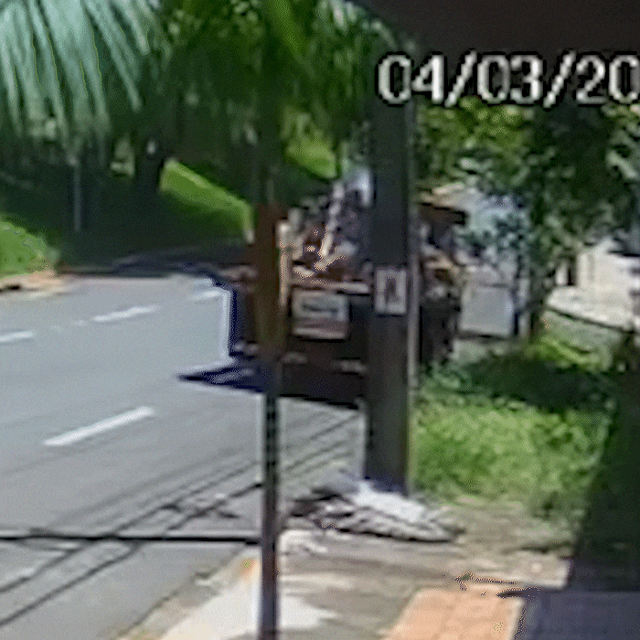 Em plena luz do dia, freteiro despeja madeira em cal&ccedil;ada na Avenida Noroeste