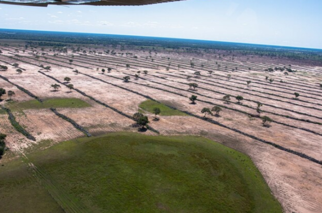 Licenciamento ambiental passa por revis&atilde;o ap&oacute;s nova lei flexibilizar regras