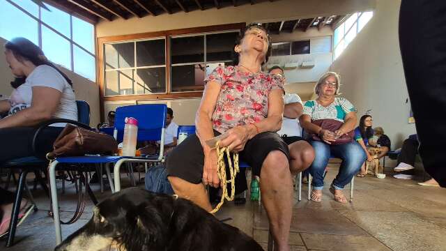 Quer castrar o seu animal? Veja aqui como fazer o cadastro e em quais bairros