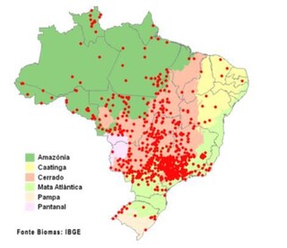 Tuiui&uacute;, s&iacute;mbolo do Pantanal, tamb&eacute;m aparece em outras regi&otilde;es do Pa&iacute;s