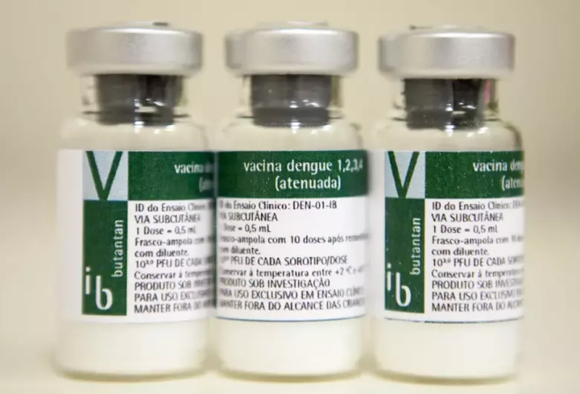 Vacina contra dengue do Butantan mant&eacute;m prote&ccedil;&atilde;o por cinco anos