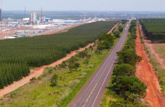 Rota da celulose motiva estudo sobre preven&ccedil;&atilde;o do HIV no interior de MS