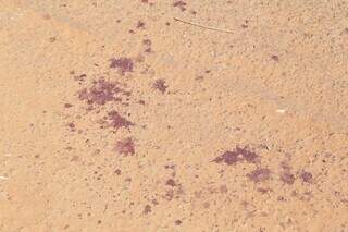 R&eacute;u que matou homem com 9 facadas no Jardim Monumento &eacute; condenado a 12 anos