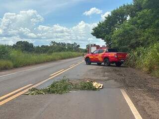 Idosa morre e crian&ccedil;a fica ferida ap&oacute;s carro capotar ao tentar desviar de buraco