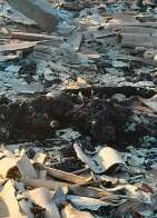 Mulher indígena é encontrada carbonizada dentro de casa; ex-marido vira suspeito