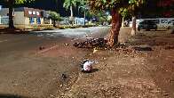 Motociclista perde controle, bate em árvore e morre em avenida