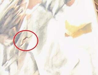 A pedido de vizinhos, mural gigante da Tia Eva deve desaparecer do Centro