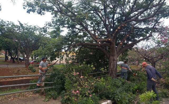 Mesmo com chuva, equipes mant&ecirc;m limpeza e tapa-buracos em v&aacute;rios bairros