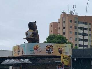 Salgadeiro coloca capivara gigante no telhado e vira ponto de foto
