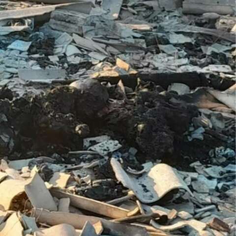 Ex &eacute; preso suspeito de matar mulher queimada e MS chega a 7 feminic&iacute;dios