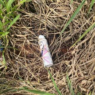 Homem confessa usar desodorante e isqueiro para incendiar casa e matar ex viva