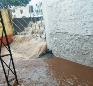 Chuva em Ponta Por&atilde; alaga 12 casas, danifica ruas e derruba &aacute;rvores