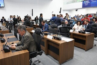 Proposta para sepultamento conjunto de animais e humanos tem 47% de rejei&ccedil;&atilde;o