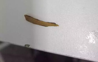 Estrutura &eacute; prec&aacute;ria e falta triagem no Hospital Militar, reclama professor