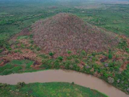 Fogo causado por a&ccedil;&atilde;o humana &eacute; investigado ap&oacute;s destruir 20 hectares no Pantanal