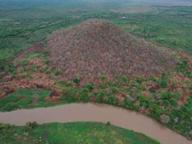 Fogo causado por a&ccedil;&atilde;o humana &eacute; investigado ap&oacute;s destruir 20 hectares no Pantanal