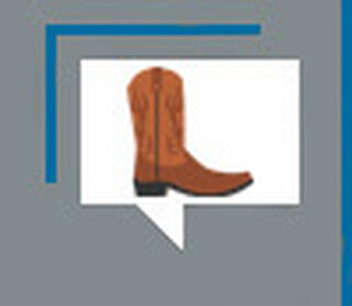 Antes de Jos&eacute; Ant&ocirc;nio, Taunay foi o primeiro a descrever C.G.