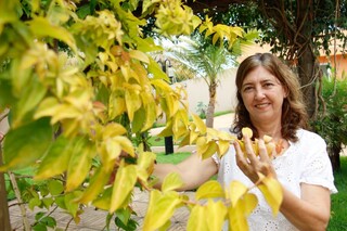 Ora-pro-n&oacute;bis floresce, surpreende o povo e vira esperan&ccedil;a para abrigo