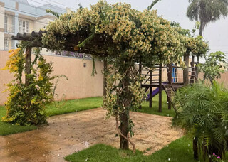 Ora-pro-n&oacute;bis floresce, surpreende o povo e vira esperan&ccedil;a para abrigo