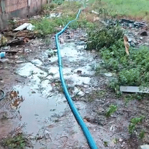 Chuva em Ponta Por&atilde; alaga 12 casas, danifica ruas e derruba &aacute;rvores