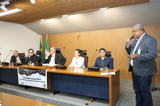 Eucalipto amea&ccedil;a &aacute;gua, abelhas e at&eacute; planta&ccedil;&atilde;o de alface, alertam especialistas