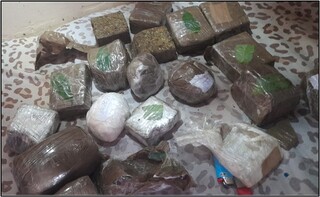 Servidora estadual &eacute; presa em a&ccedil;&atilde;o contra envio de drogas e celulares na M&aacute;xima