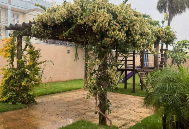 Ora-pro-n&oacute;bis floresce, surpreende o povo e vira esperan&ccedil;a para abrigo