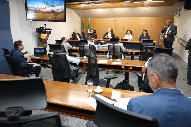 Eucalipto amea&ccedil;a &aacute;gua, abelhas e at&eacute; planta&ccedil;&atilde;o de alface, alertam especialistas